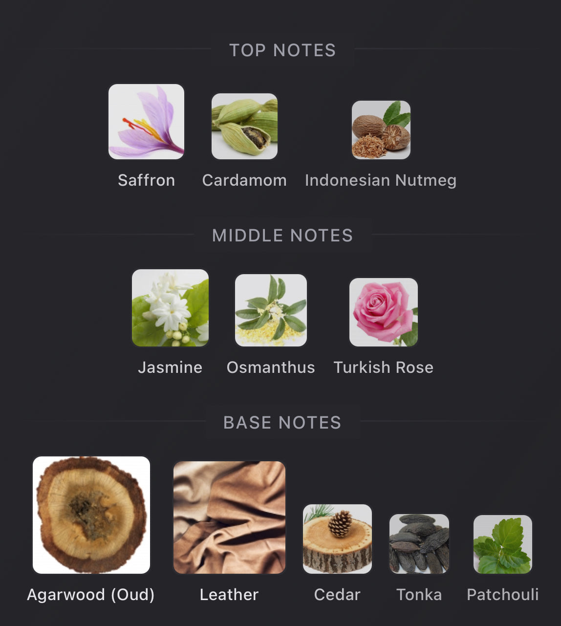 Oud Stallion Maison Crivelli