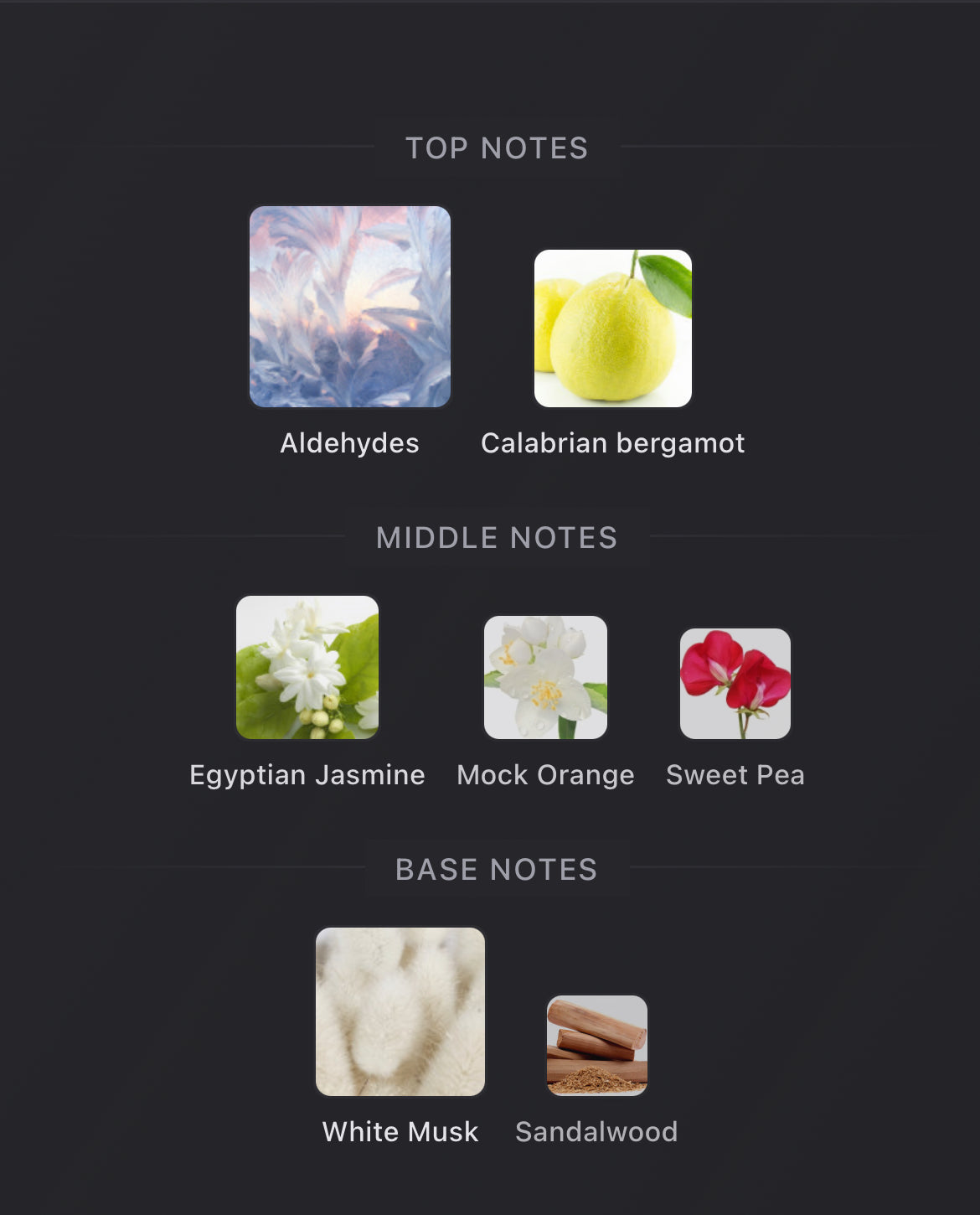 Maison Francis Kurkdjian 724