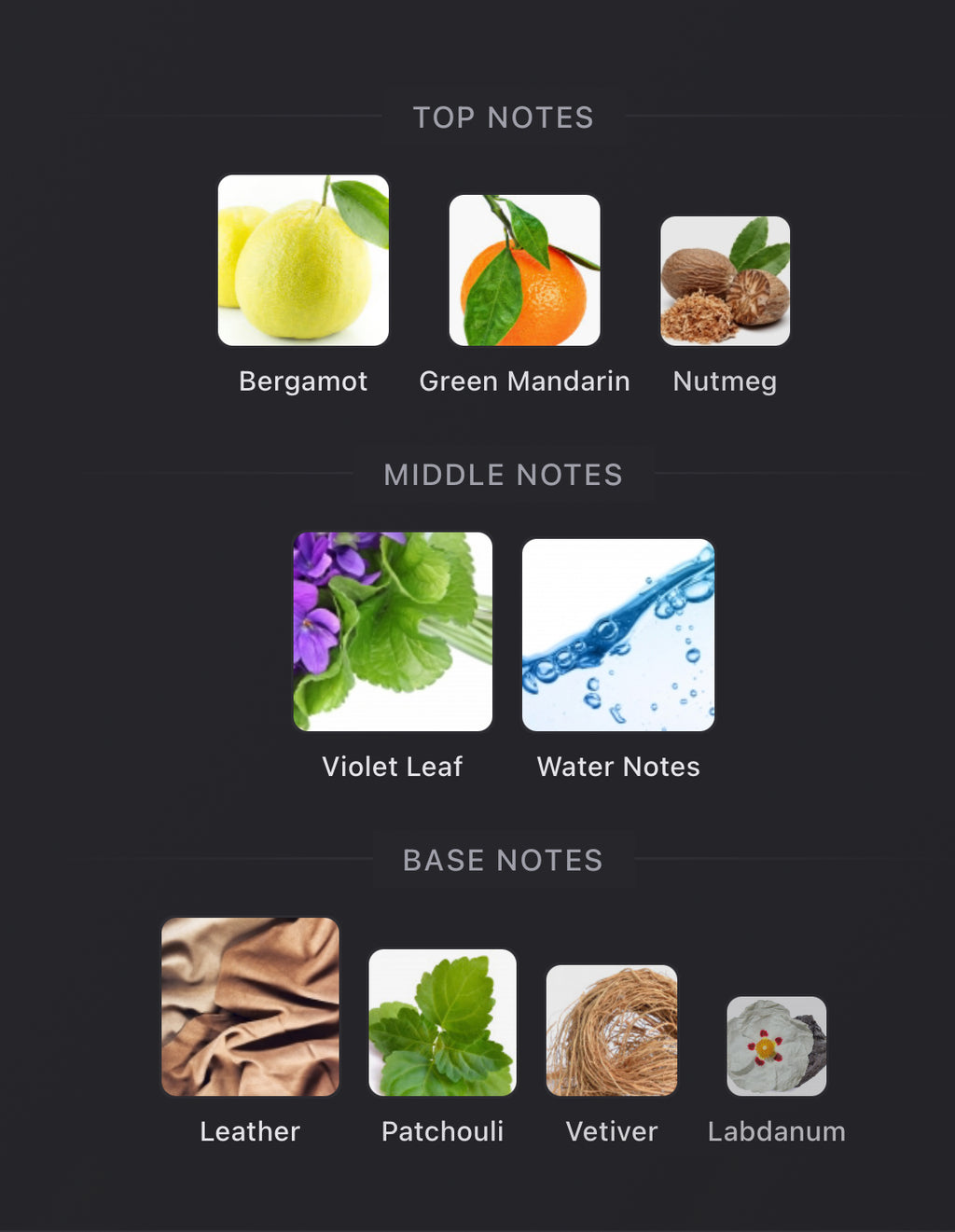 Acqua Di Giò Elixir