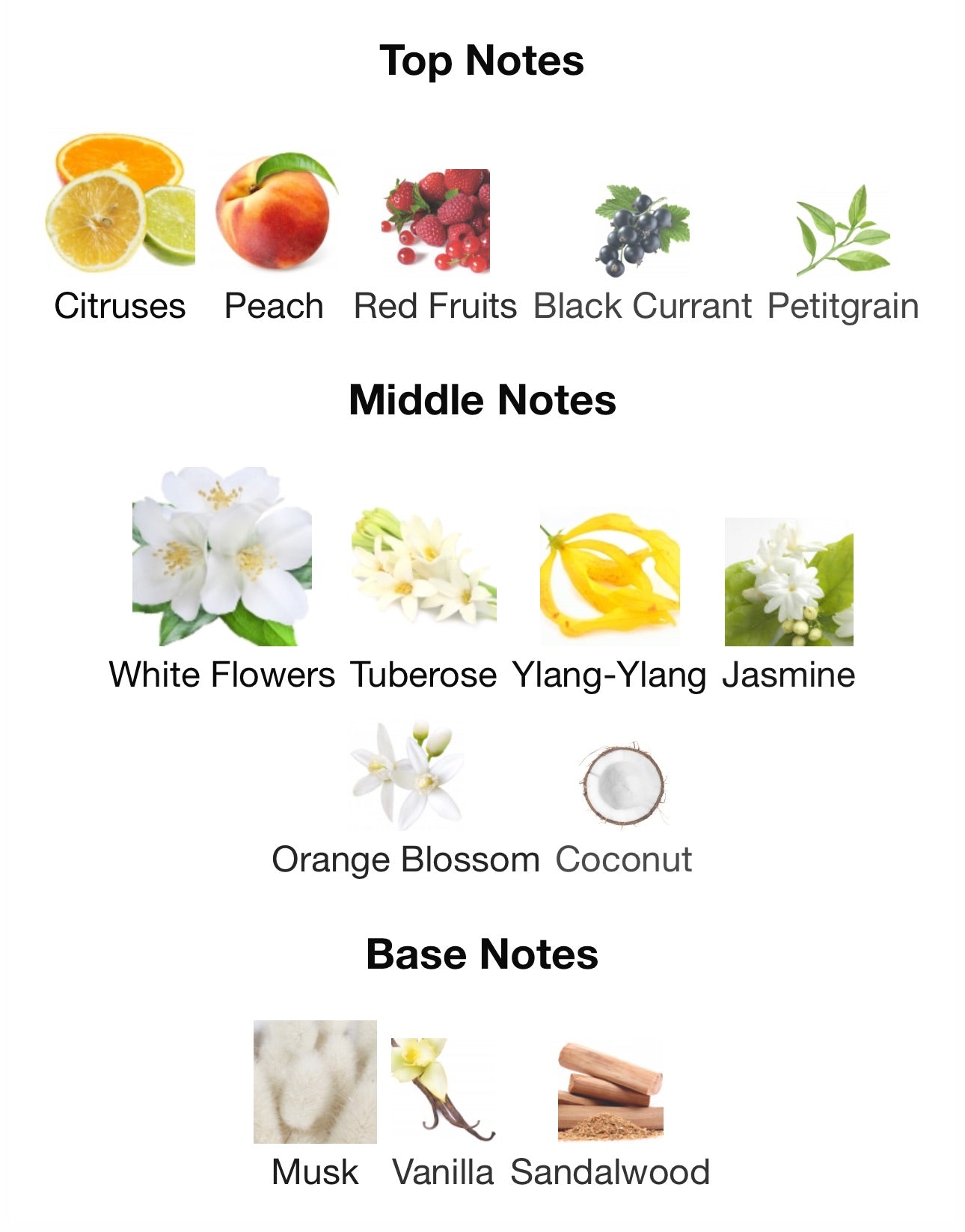 Gabrielle Chanel Paris Essence