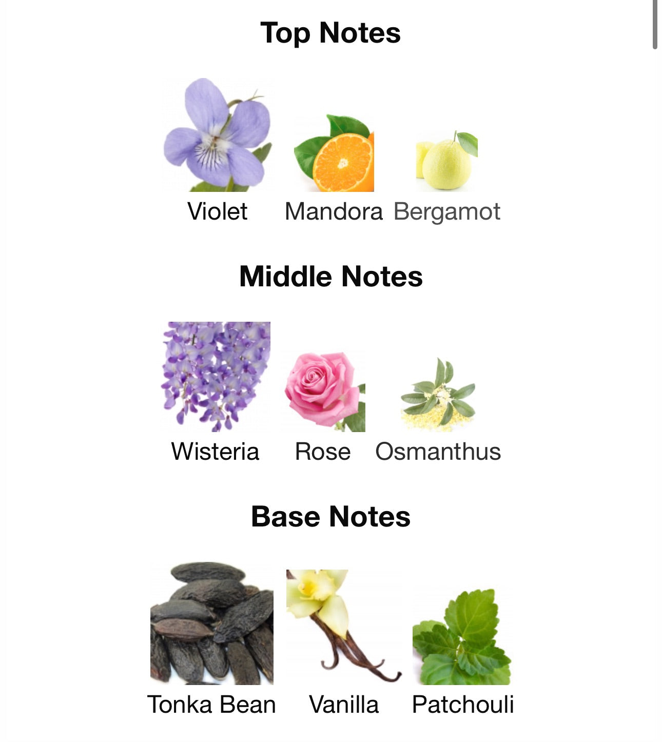 Gucci Guilty Elixir De Parfum Pour Femme