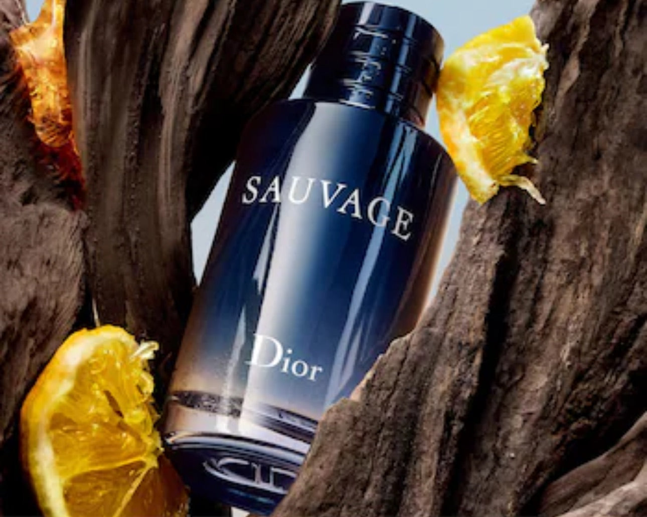 Dior Sauvage EDT
