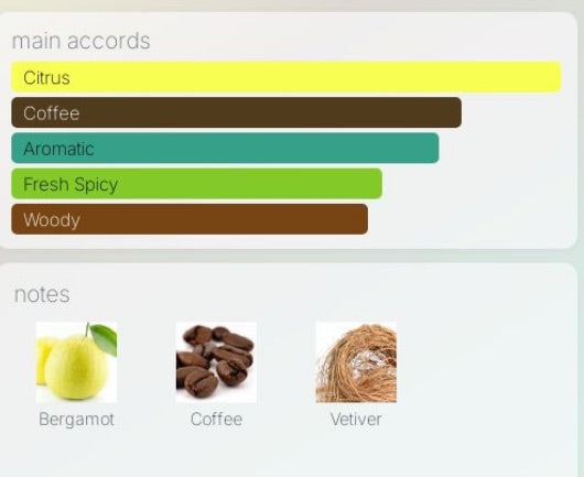 Valentino Born in Roma Green Stravaganza